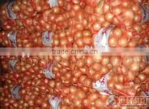 Onion Export India thumbnail-1