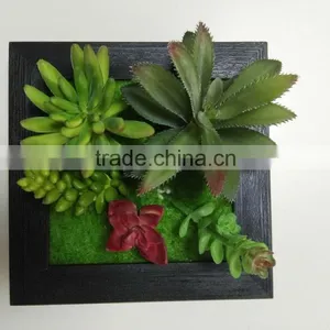 HOT Virbrat Natural Touch Plant Gift Succulent Frame Succulent Plants for Wholesale thumbnail-3