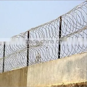 Fence With Razor Wire thumbnail-1