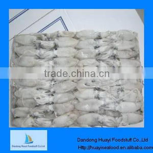 Frozen Squid Product Frozen Whole Baby Squid thumbnail-1