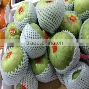 2016 CE Standard EPE Foam Net Extrusion Line thumbnail-2