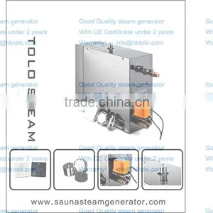 Luxury Steam Shower Once Through Steam Generator Shower Stall Kits thumbnail-1