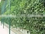 Galvanized Welded Wire Mesh Panel,wire Fence thumbnail-1
