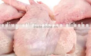 High Quality Frozen Chicken Wings for Sale thumbnail-1