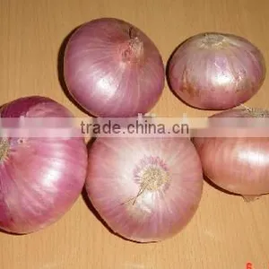 2015 Crop Fresh Red Onions for Sales With Market Price thumbnail-5