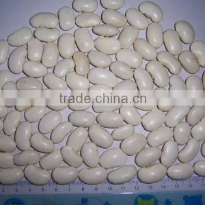 2014 Different Varieties of White Kidney Beans From China With Cheap Price thumbnail-3