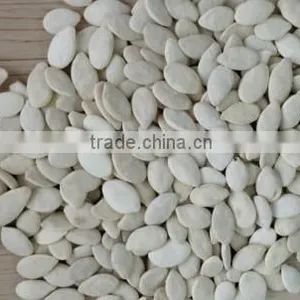 Wholesale Price Pumpkin Seeds thumbnail-3