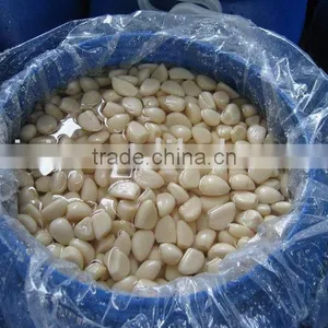Peeled Garlic Cloves in Brine thumbnail-1