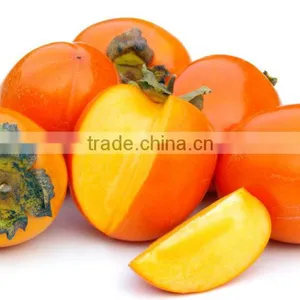 Manufactory Supplier of Diospyros Kaki Fruit Extract,Diospyros Kaki Fruit Extract Powder,Diospyros Kaki Extract 4:1~20:1 thumbnail-3