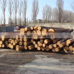 Spruce Poles thumbnail-1