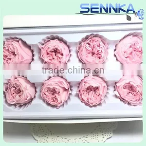 Import China Preserved Flowers Preserved Austin Rose Wholesale thumbnail-2