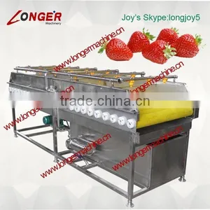 Automatic Strawberry Washer thumbnail-1