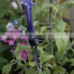 Plastic Black Gardening Plant Orchid Clip Flower Clip thumbnail-4