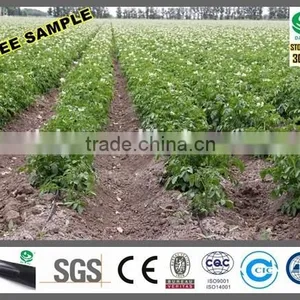 DAYU Irrigation - Drip Tape for Farmland and Forestry Watering Tube thumbnail-2