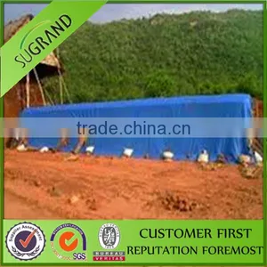 Clear pe Tarpaulin With High Tear Strength,waterproof Poly Tarp thumbnail-1