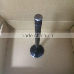 Engine Valves thumbnail-1
