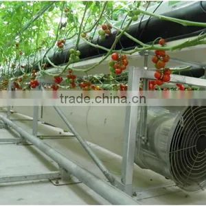 Greenhouse Air Circulation System thumbnail-1