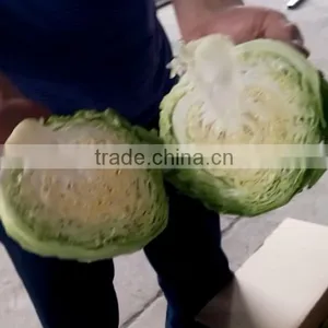 Fruit Vegetable Melon Half Cutting Machine thumbnail-3
