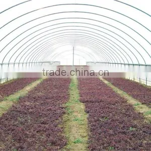 Tunnel Agriculture Greenhouse for Vegetable thumbnail-6