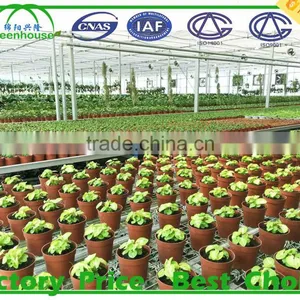 One Stop Grande Greenhouse Type Multi Span Plastic Film Commercial Greenhouse for Sale thumbnail-1