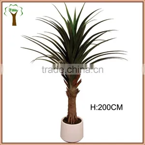 Artificial Sisal Plant With Sharp Leaves thumbnail-1