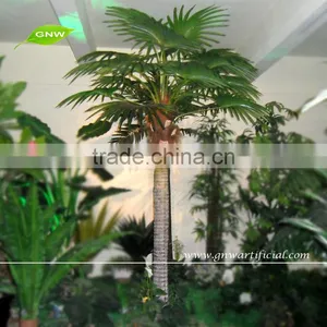 APM037 GNW 5.5m Tall Good Preserved Artificial Indoor Palm Trees thumbnail-1