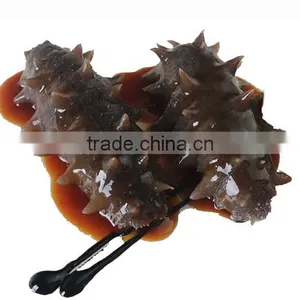 Sugar-Free Sea Cucumber Type thumbnail-4