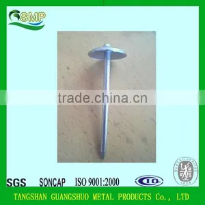 Hot Sale Galvanized Umbrella Roofing Nail 2.5" China Supplier Umbrella Head Roofing Nails thumbnail-1
