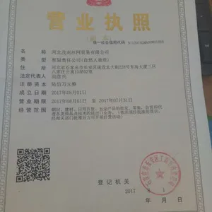 Hebei Maonan Wiremesh Trade Co.,ltd company overview - view 1 thumbnail