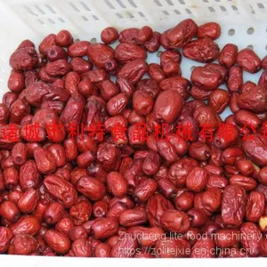 Jujube Cleaning Machine, Jujube Cleaning Line, Jujube Processing Equipment thumbnail-4