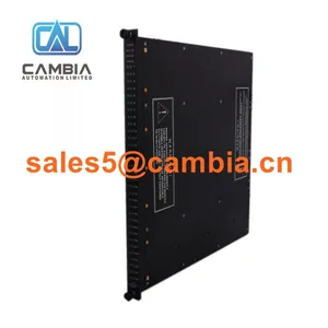 In Stock! Triconex 2551 7400056-110/ Sales5@cambia.cn thumbnail-2