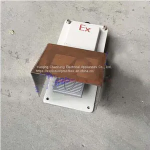 Bxk58-series Explosion-proof Foot Switches Have a Mechanical Life of 1 Million Times thumbnail-3