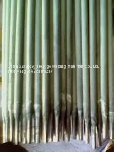 Stainless Steel Electrode thumbnail-1