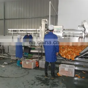 Fruit Juice Plant Industrial Apple Juicer Belt Extractor Machine thumbnail-3
