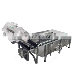 Canned Stuffed Manzanilla Olives Production Line Processing Machine Factory Plant thumbnail-4