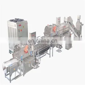 Small Scale Dates Syrup Processing Line thumbnail-1