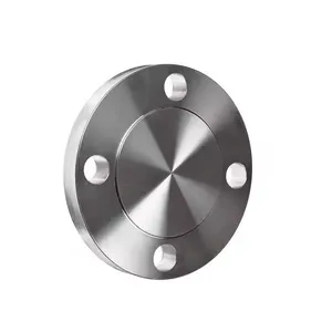 300# 316L Stainless Steel Raised Forged Slip Blind Face Flange thumbnail-1
