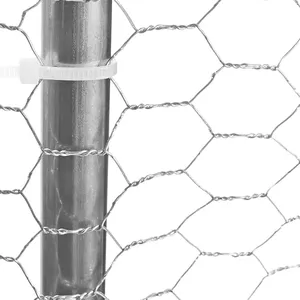 PVC Coated Chicken Wire Fence for Feeding Rabbits Factory Direct thumbnail-3