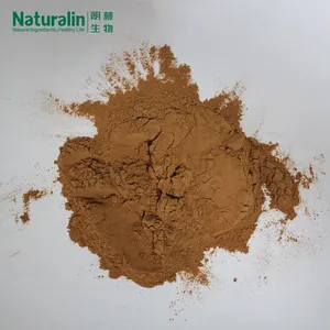 Ginkgo Biloba Extract thumbnail-4