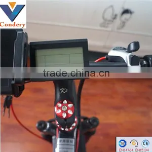 36V 250W Lithium Battery Electric Bike Electric Mountain Bike Bicycle EN14195 thumbnail-6