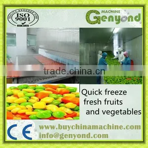 KANGLONG SSD Series IQF Tunnel Instant Freezer China thumbnail-1