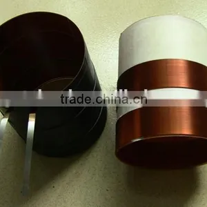 Dual Voice Coil thumbnail-1
