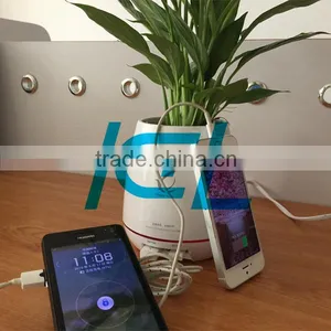 USB Charger Home Decoration Flowerpot Usb Socket With 2 Port Charging thumbnail-6