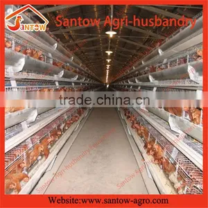 Chicken Use Welded Wire Chicken Layer Cages Poultry Farm Egg Layer Cage House Coop thumbnail-3
