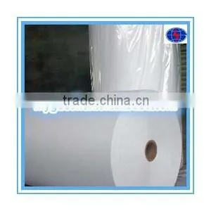 Guoshun Polyester Spunbond Nonwoven Fabric thumbnail-1