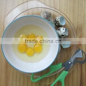 Made In China Quail Eggs Scissors thumbnail-1