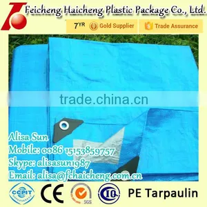All Kind Of Sunproof Polyethylene Tarpaulin Price thumbnail-3