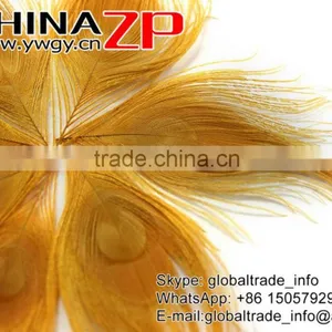 No.1 Supplier ZPDECOR Wholesale Selected Prime Quality Dyed Gold Trimmed Short Peacock Feathers for Decoration thumbnail-3