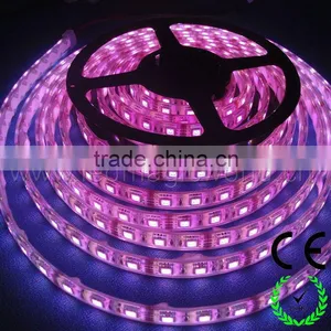 High Brightness Rgb Rolls Smd 5050 Led Lights For Restaurant Decorating thumbnail-1