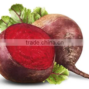 Exporters of Fresh Vegetables thumbnail-3